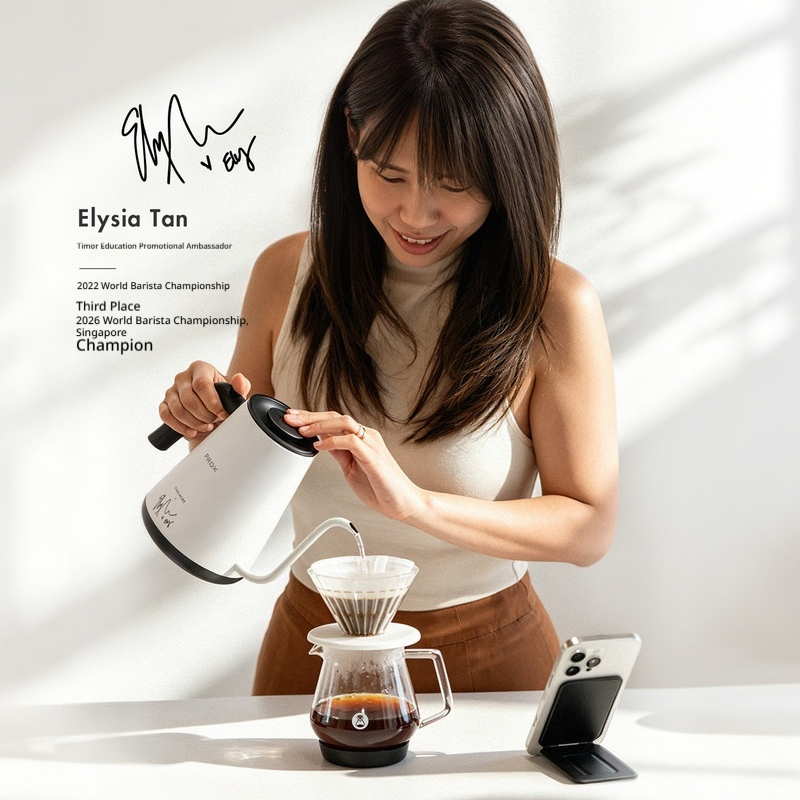 Timemore Fish Pro X Electric G - огляд і ціна Electric Kettle Temperature Control