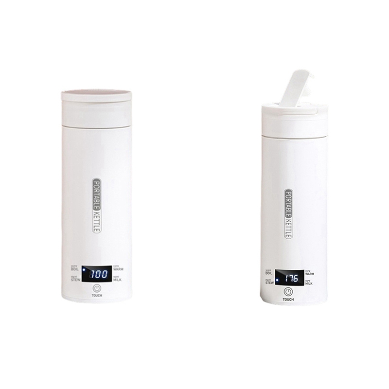 DT39 Portable Travel Electric  - огляд і ціна Electric Kettle Temperature Control